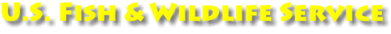 U.S. Fish & Wildlife Service