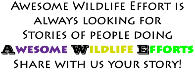 Awesome Wildlife Effort is always looking for Stories of people doing Awesome Wildlife Efforts Share with us your story!