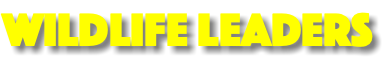 Wildlife Leaders