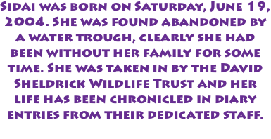 Sidai was born on Saturday, June 19, 2004. She was found abandoned by a water trough, clearly she had been without her family for some time. She was taken in by the David Sheldrick Wildlife Trust and her life has been chronicled in diary entries from their dedicated staff. 