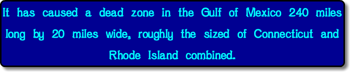 It has caused a dead zone in the Gulf of Mexico 240 miles long by 20 miles wide, roughly the sized of Connecticut and Rhode Island combined.