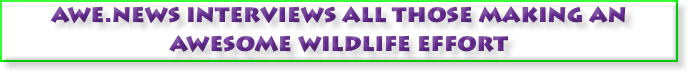 awe.news interviews all those making an awesome wildlife effort